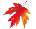 Fall Promotions