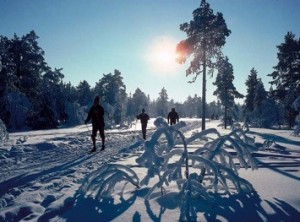 Cross Country Skiing Odell Lake Lodge & Resort 