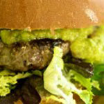 Garden Burger